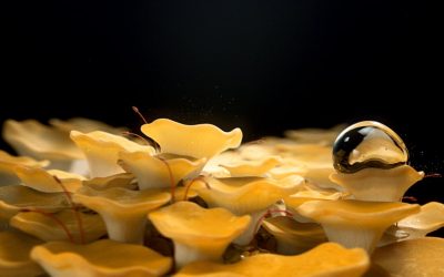 649914672_1280x720[1]